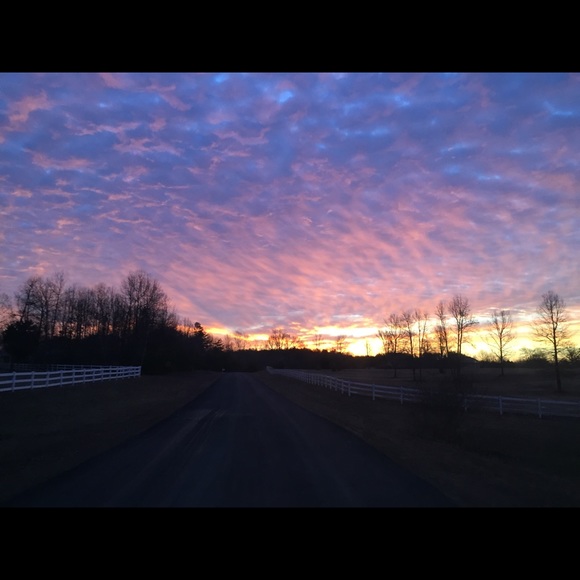 Meet your Posher, Noel - Picture 1 of 1